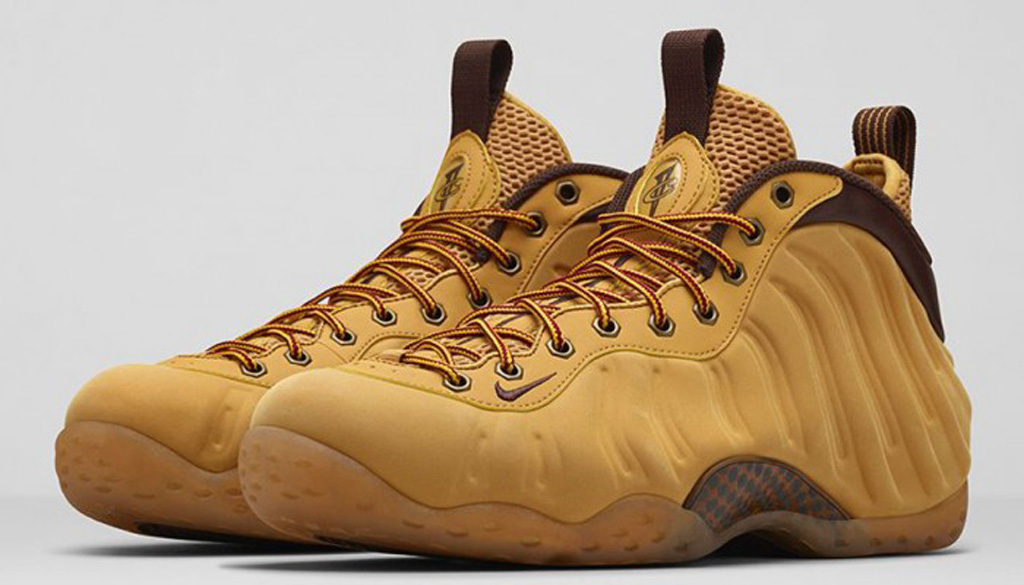 Nike on sale foamposite premium