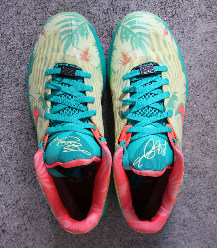 lebron 9 low lebronold palmer