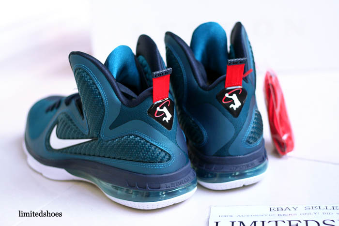 swingman lebron 9