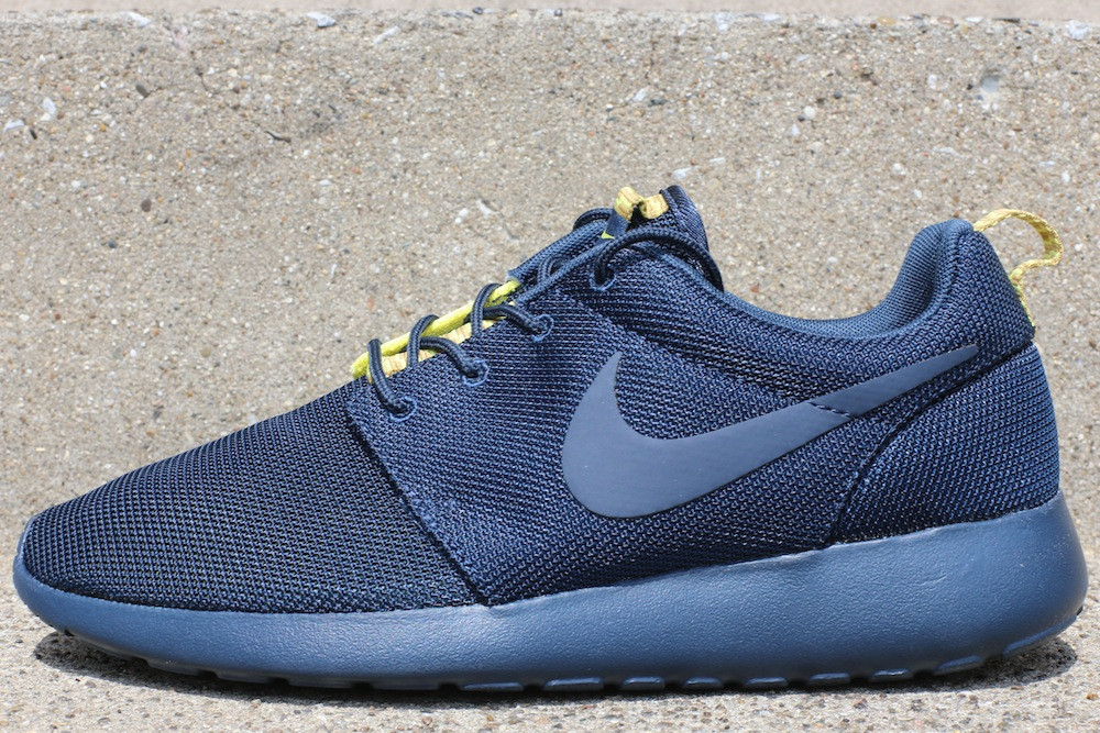 all blue nike roshe