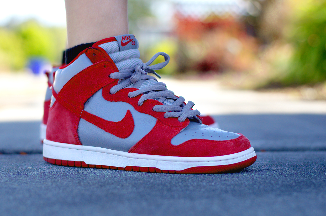 Nike Dunk SB 2014