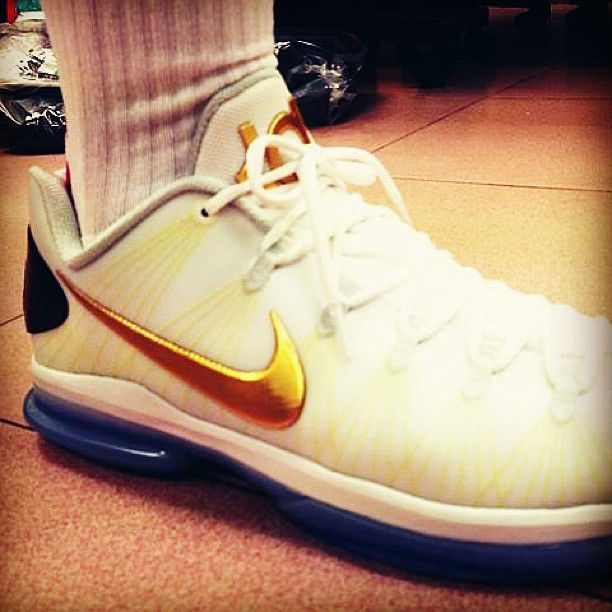 Nike KD V Elite White Metallic Gold Pure Platinum 585385-100