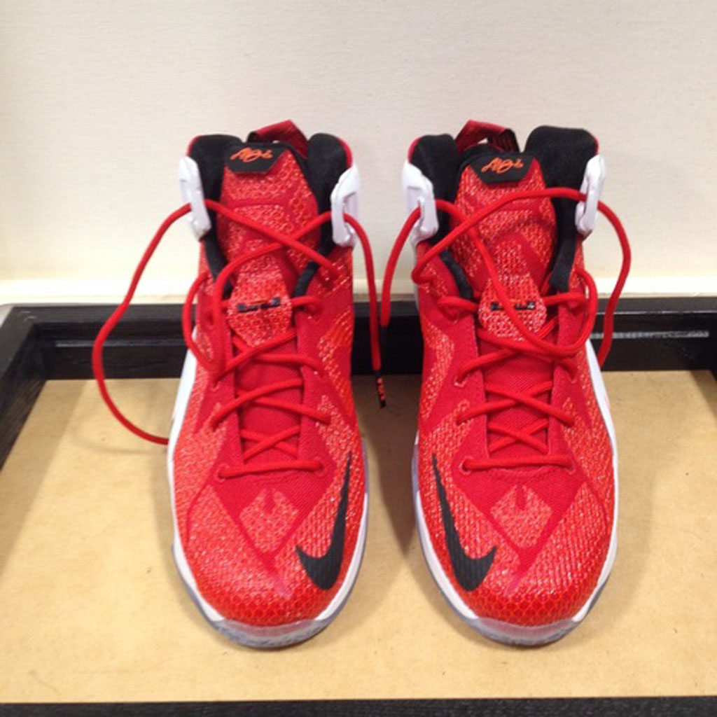 You Can Look (and Possibly Touch) Nikki Bella's LeBron 12s