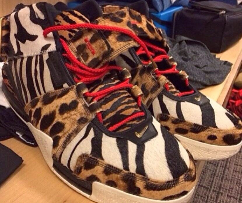 animal pack lebron 2