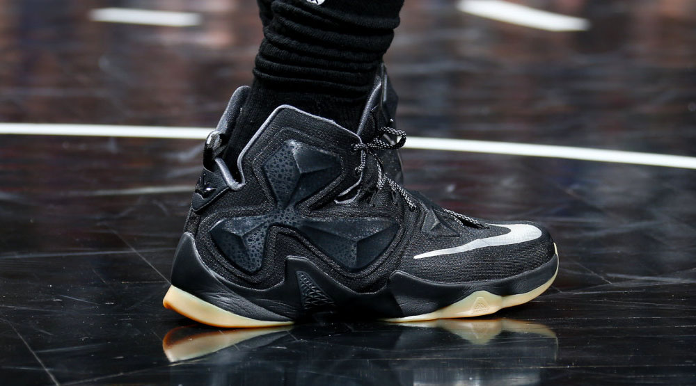 lebron 13 lion