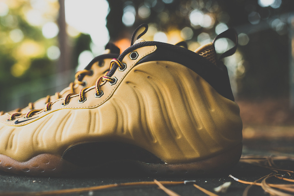 Foamposite wiki sales