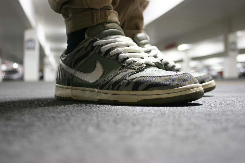 nike sb daktari