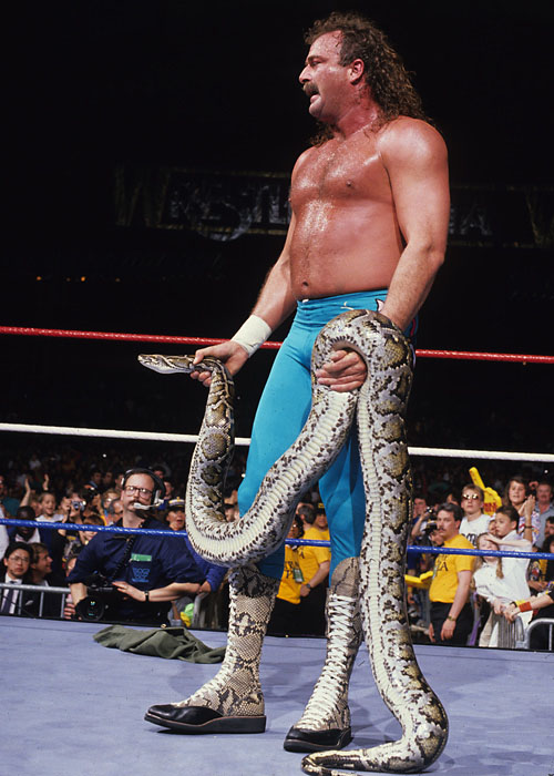 Jordan Aero Flight WWF WWE Jake the Snake Roberts 524959-283 (4)