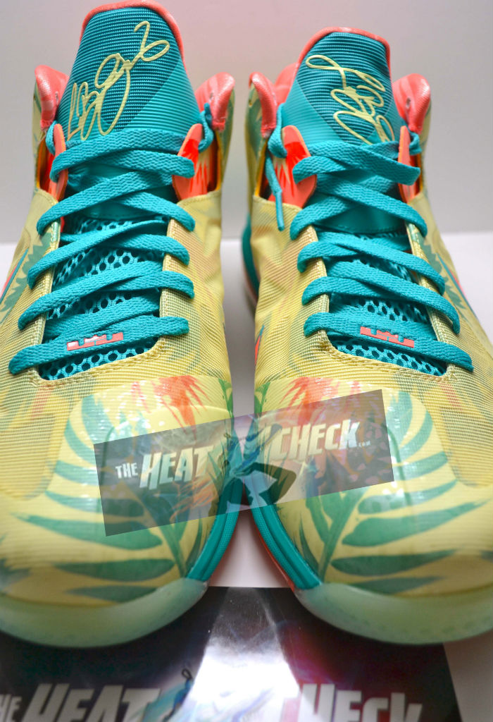 Nike LeBron 9 Low - LeBronald Palmer (2)