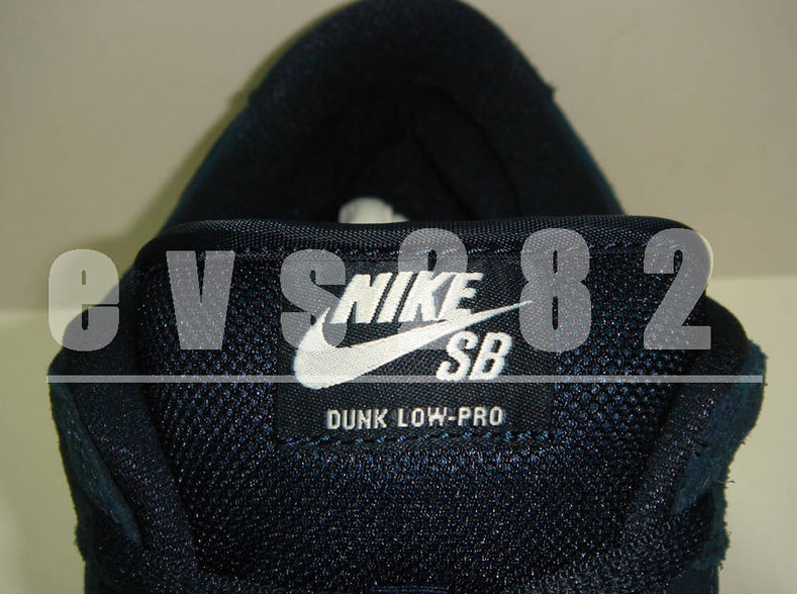 nike sb passport