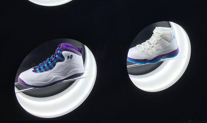 Charlotte Hornets Air Jordans Displayed 