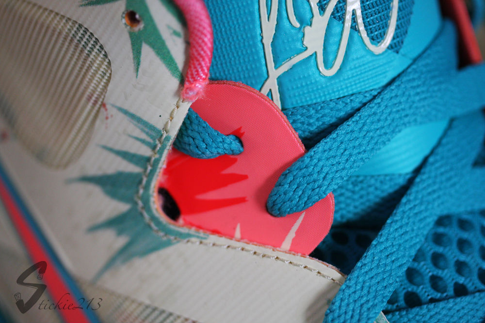 Nike LeBron 9 Low LeBronold Palmer (7)