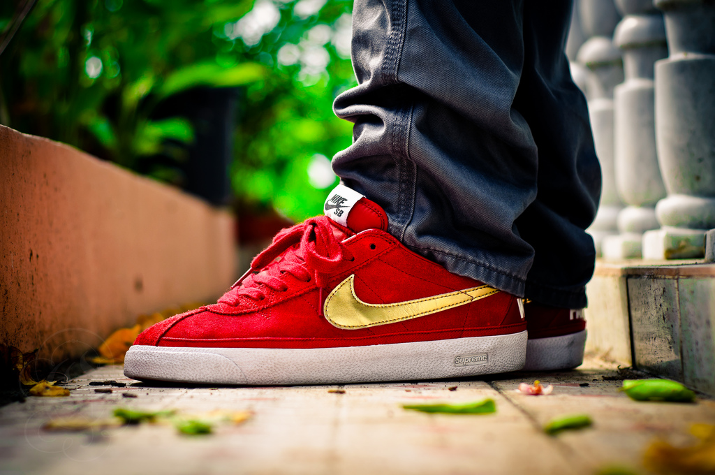 Supreme x Nike SB Bruin