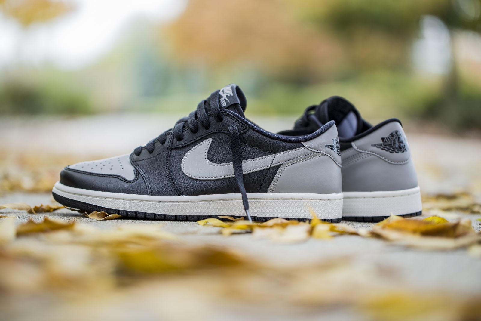 jordan 1 low shadow release date