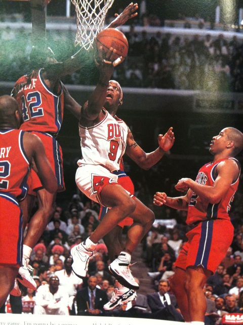 dennis rodman air darwin