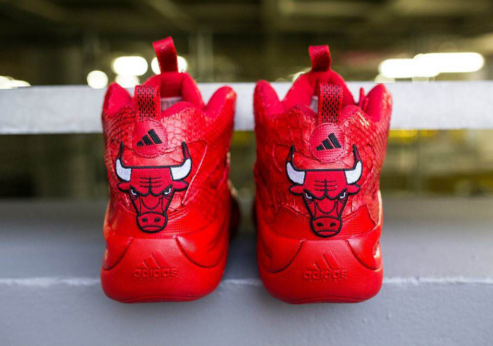 Chicago bulls hot sale crazy 8