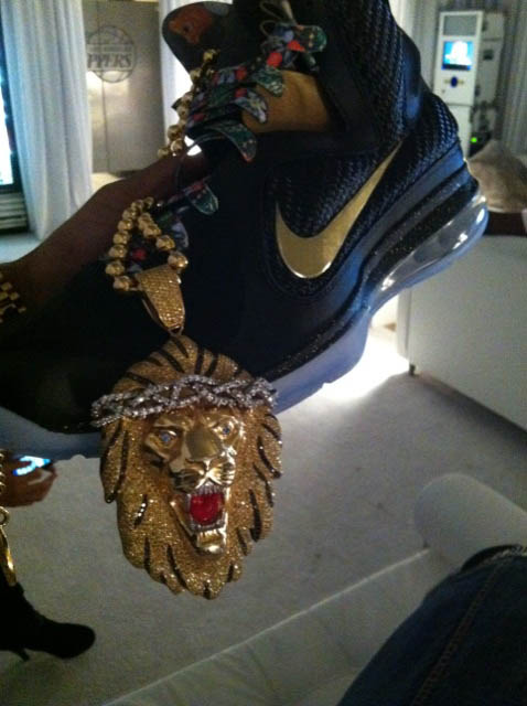 Nike LeBron 9 Watch the Throne