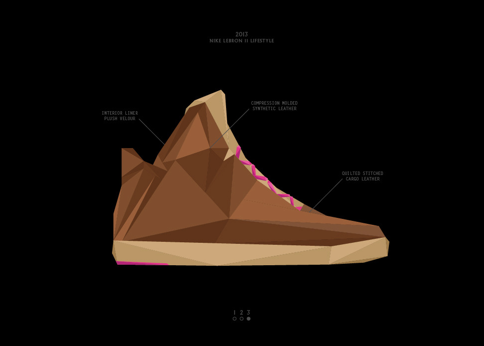 Nike LeBron 11 NSW Lifestyle Work Hard Play Hard graphic