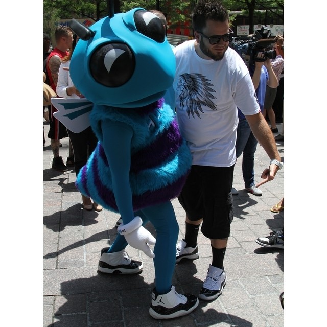 Hugo the Hornet wears Concord Air Jordan XI 11 (1)