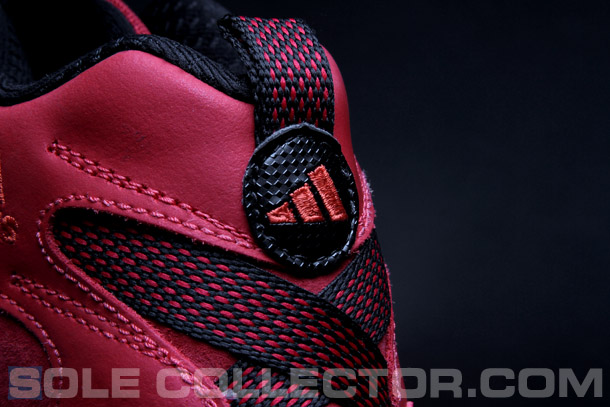 derrick rose crazy 8