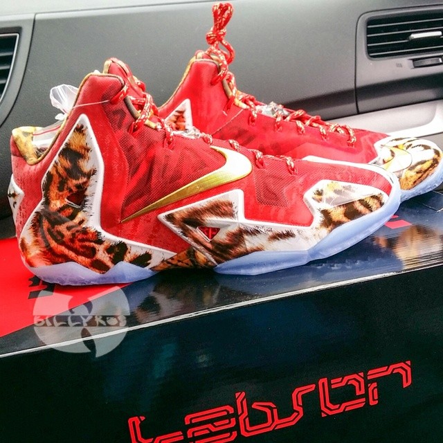 A Bunch of People Received Their 2K14 LeBron 11s Today