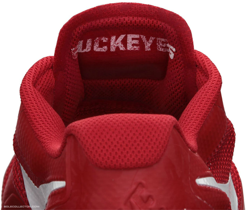 Nike Lunar TR1 Rivalry Ohio State Buckeyes 574130-601 (5)