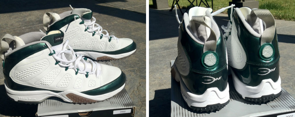 Donovan McNabb Wearing Air Jordan IX 9 Retro Turf PE (16)