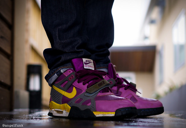 Nike Air Trainer III 'Viotech'