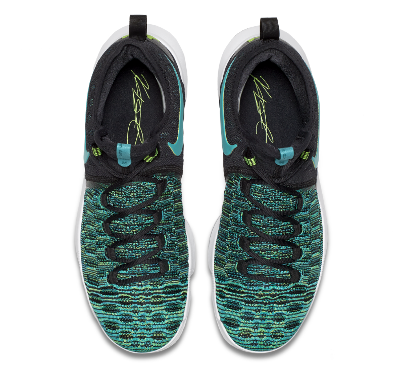 kd 9 birds of paradise