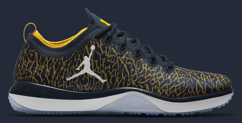 Michigan Air Jordan Trainer 1 Low 