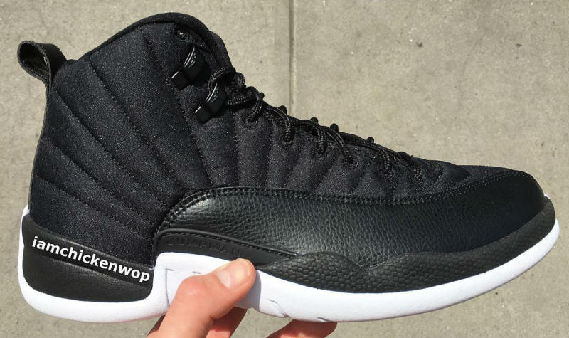 Air Jordan XII 12 Black Nylon 