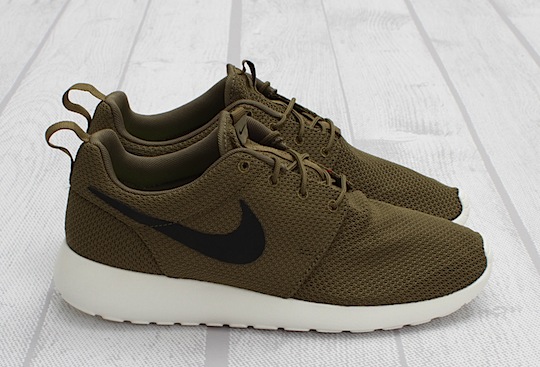 amazing roshe runs