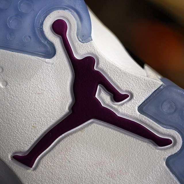 Air Jordan VI 6 GS Grape Release Date 543390-127 (9)