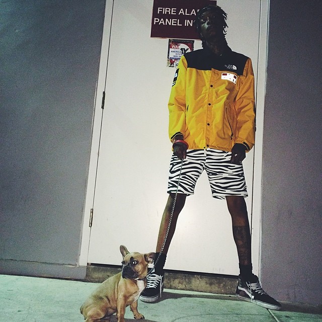 Wiz Khalifa wearing Vans Sk8-Hi