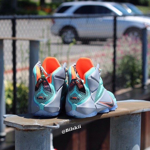 Lebron 12 outlet miami dolphins