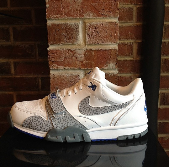 Nike air cheap trainer wolf grey