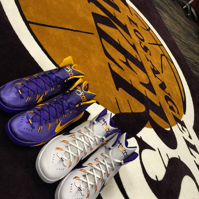 Carlos Boozer's Nike Hyperdunk 2014 'Lakers' PEs