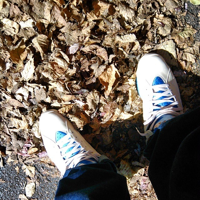 Spotlight // Forum Staff Weekly WDYWT? - 11.11.13 - Air Jordan 7 VII Retro Pacific Blue by goldenchild9389