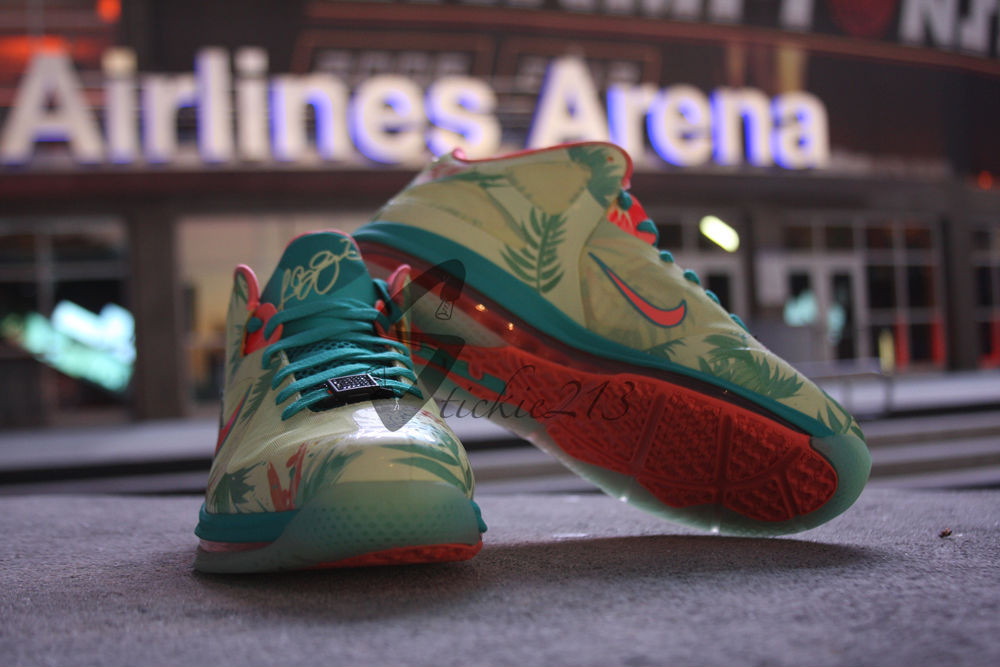 lebron 9 low lebronold palmer