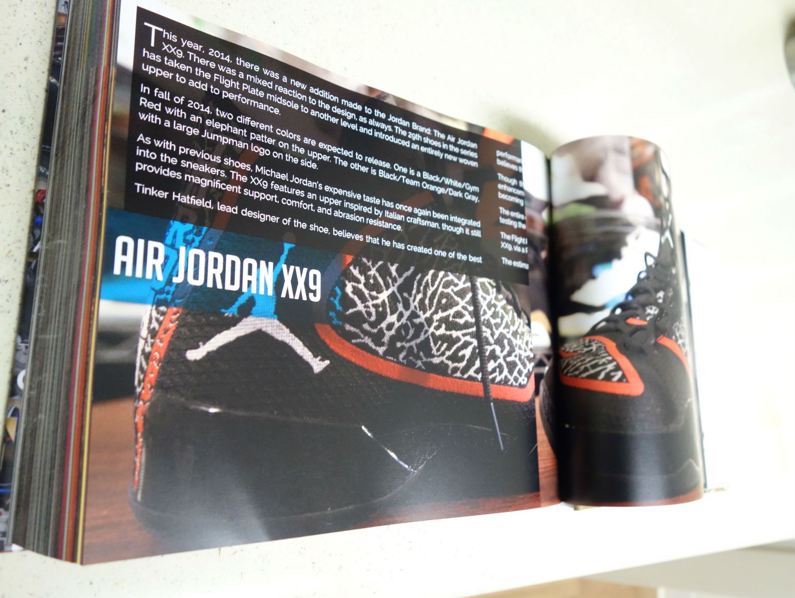 history of jordan shoes book