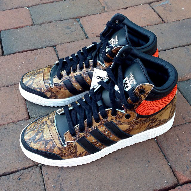 adidas top ten snakeskin