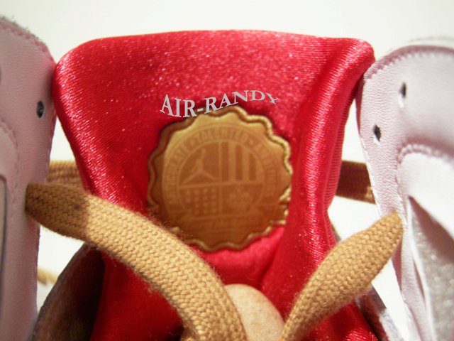 Air Jordan Retro 7 Year of the Rabbit 459873-005