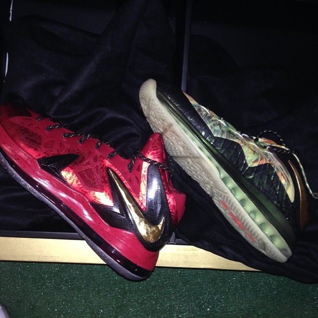 Michael Vick Picks Up Nike LeBron Championship Pack