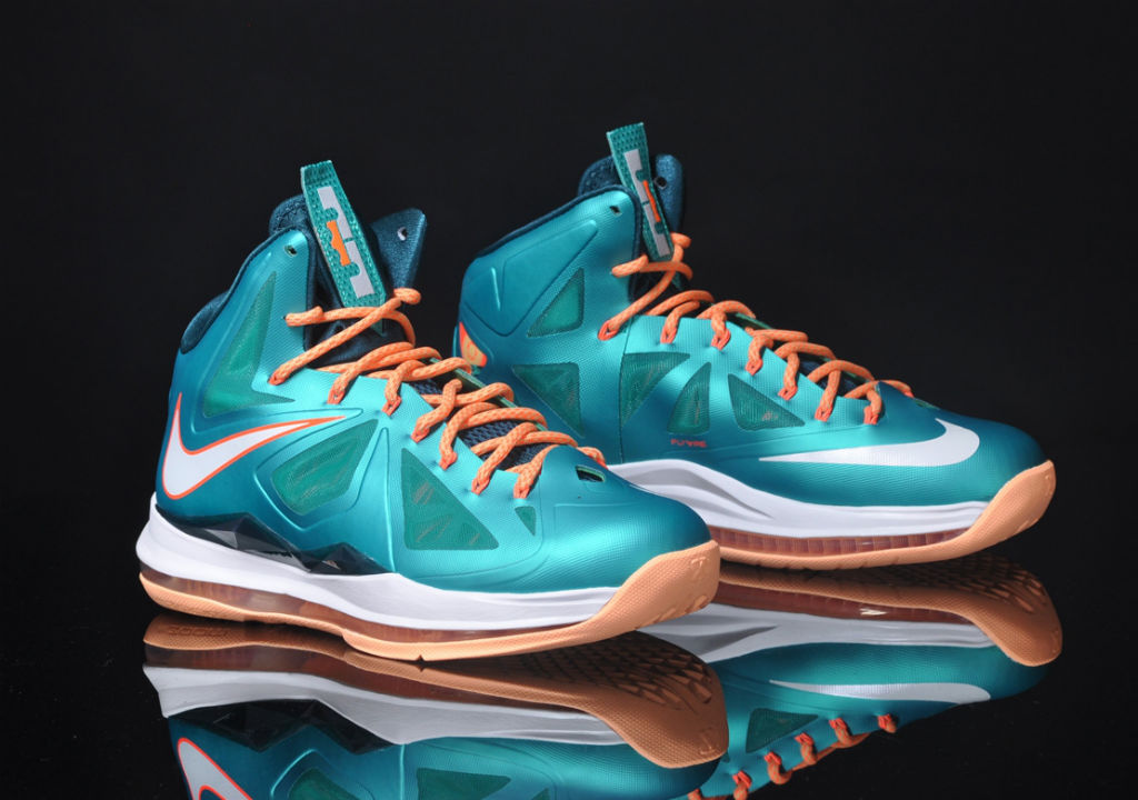 Lebron store 10 dolphins