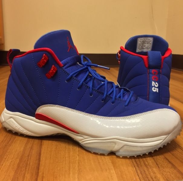 Carl Crawford's Air Jordan 12 Turf PE 