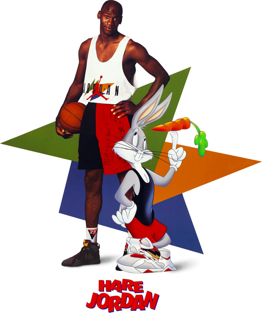 the history of air jordans poster
