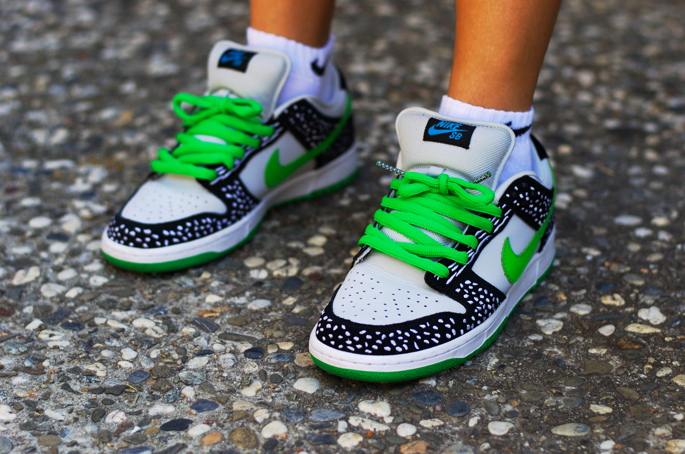 Nike SB Dunk Low 'Loon'