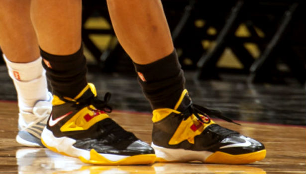 Skylar Diggins wearing Nike Zoom Soldier VII PE (4)