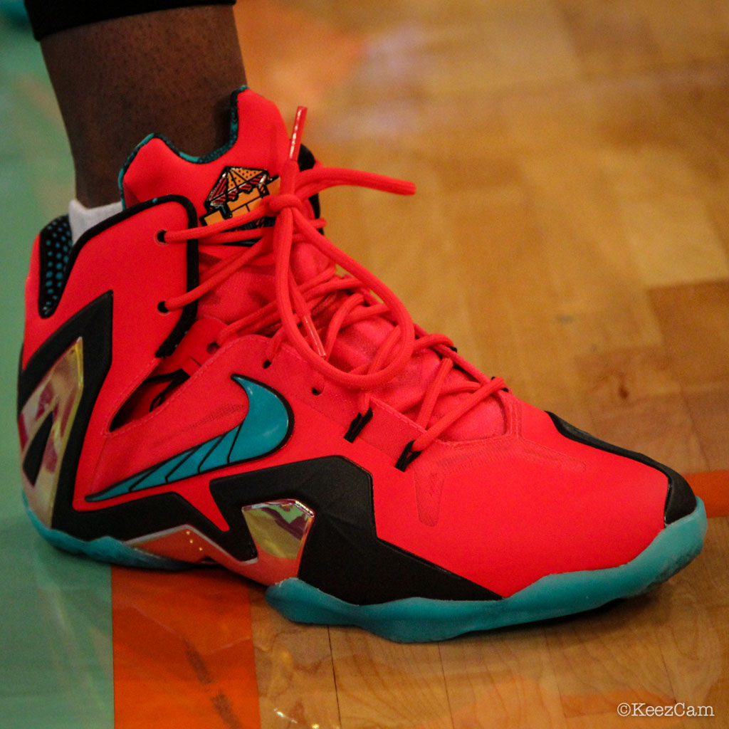 Swin Cash wearing Nike LeBron XI 11 Elite Hero (2)