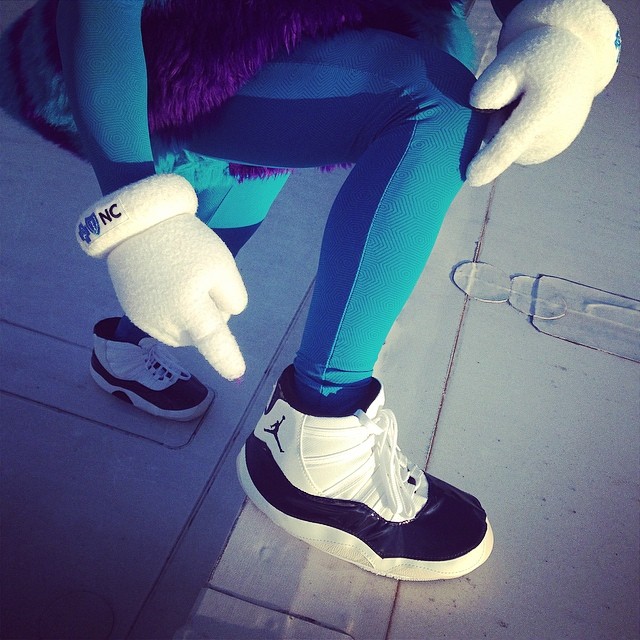 Hugo the Hornet wears Concord Air Jordan XI 11 (3)